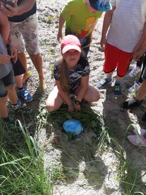 Krásně vystlané hnízdečko.