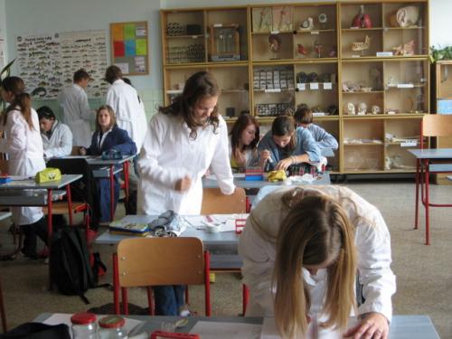 I. laboratorní práce z chemie - VIII.A