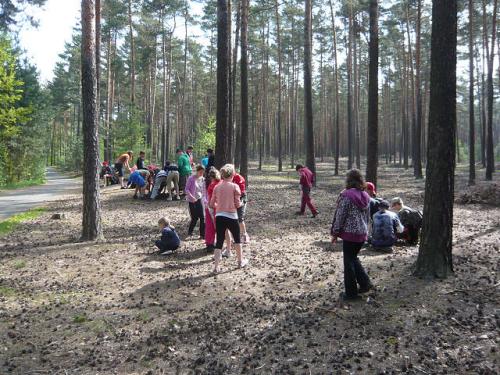 Škola v přírodě - Poselský rybník