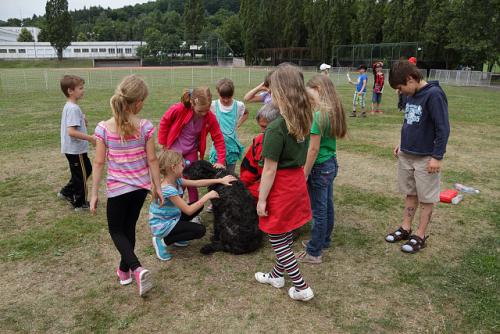 Cvičení záchranných psů - školní družina