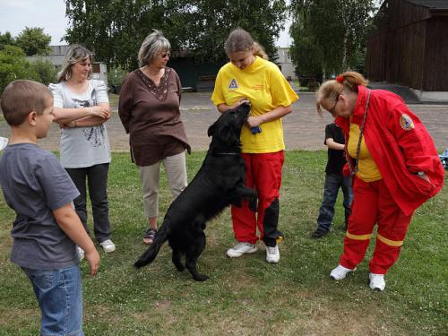 Cvičení záchranných psů - školní družina