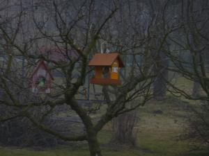 Pomáháme ptáčkům - výroba ptačích budek 1