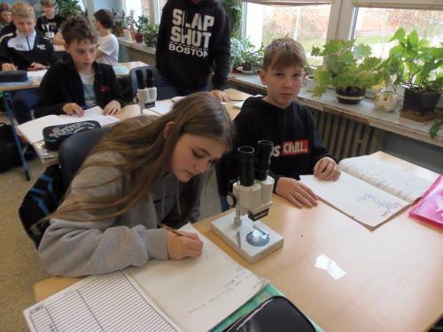 7.A LP Rybí šupiny