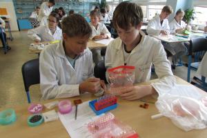 LP vlastnosti látek