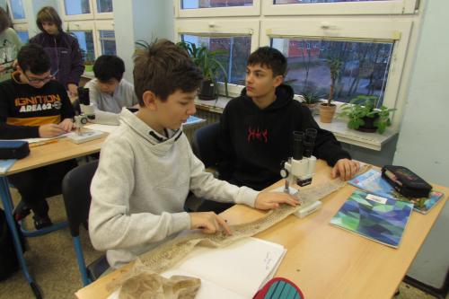 Zkoumání šupin hadů